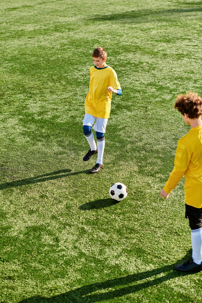 2人のエネルギッシュな若い男性が熱狂的にサッカーボールを蹴り,広大なグリーンフィールド,素早い動き,熟練したフットワークがスポーツへの情熱を示しています. - 写真・画像