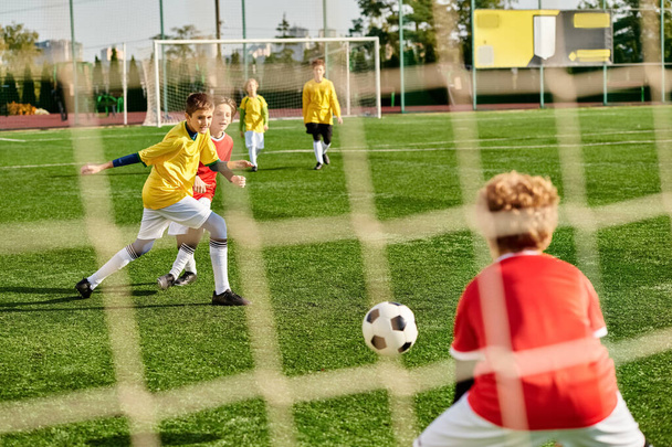 Живая группа маленьких детей, энергично играющих в футбол на травянистом поле, бегущих, пинающих и аплодирующих, когда они соревнуются друг с другом в товарищеском матче. - Фото, изображение
