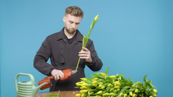 Muž drží zelenou rostlinu a odřezává konce tulipánů - Záběry, video