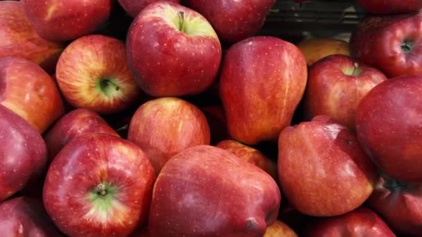 Κόκκινα μήλα, dolly shot σε κόκκινα μήλα που εμφανίζονται στο περίπτερο φρούτων - Πλάνα, βίντεο