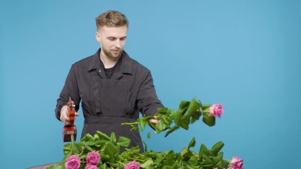 Mies leikkaa ruusun päät sinisellä pohjalla - Materiaali, video