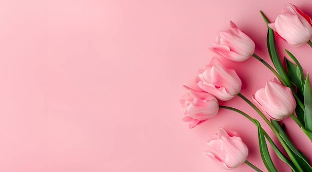 休日のためのカードのための春の花の背景. ピンクの背景にチューリップ. ウィメンズデー。 水平に。 トップビュー. - 写真・画像