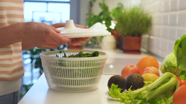 Sušený zelený špenát v plastovém ručním kuchyňském odstředivkovém sušáku. Vařím večeři ze zdravé čerstvé, čerstvé, zralé, vitamínové zeleniny. Přírodní syrové potraviny pro detox, hubnutí - Záběry, video