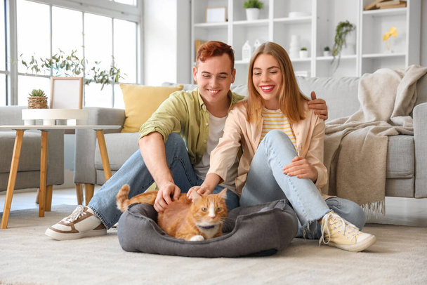 Young couple with cute cat in pet bed at home - Photo, Image