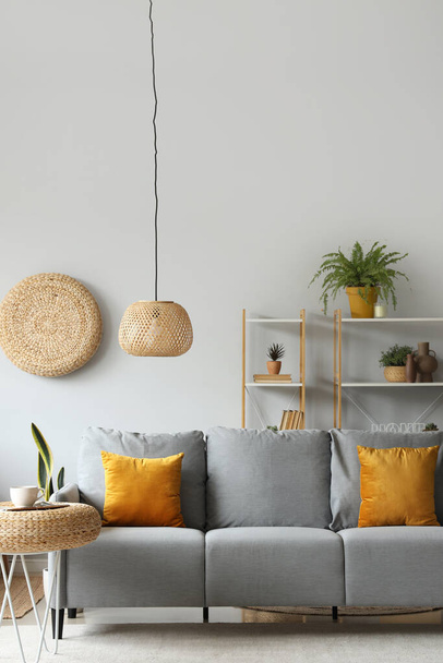 Sisätilojen valo olohuone kodikas harmaa sohva, huonekasvit ja paju pussit - Valokuva, kuva