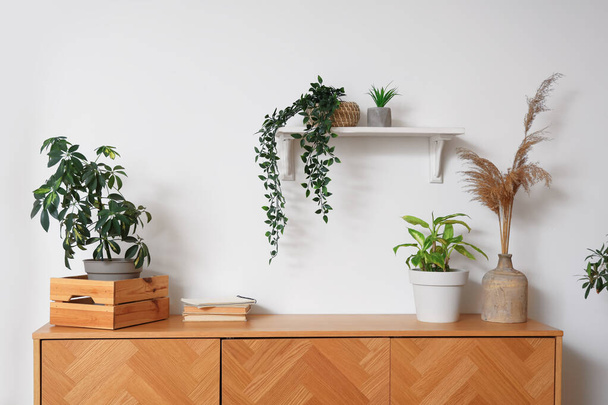 Interieur van gezellige kamer met planten, lades en planken - Foto, afbeelding