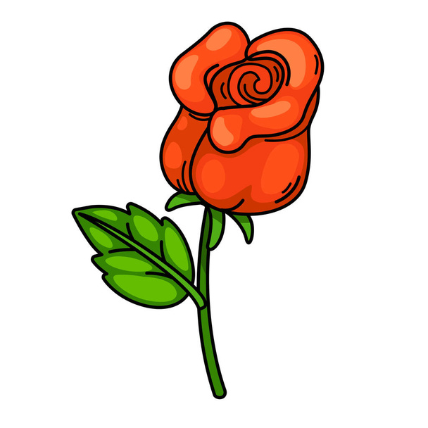 illustration of rose outline white on background vector - Vector, Image