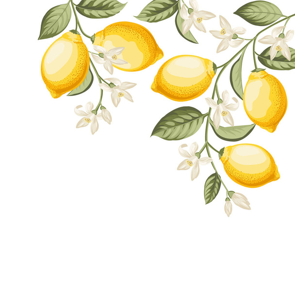 Wedding invitation. Lemon illustration. hand-drawn frame - Vektor, kép