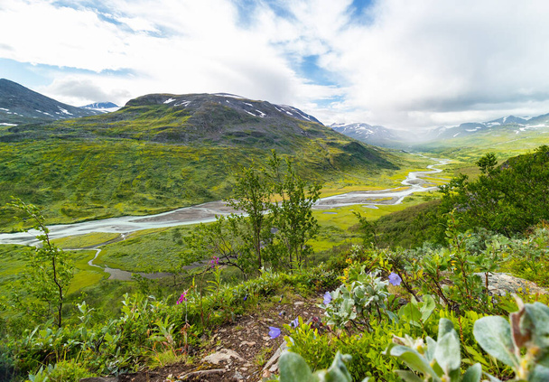 Een prachtig Rapa rivierlandschap van bovenaf met inheemse bloemen die op de heuvel bloeien. Zomer landschap van Sarek Nationaal Park, Zweden. Bergrivier in Noord-Europa. - Foto, afbeelding