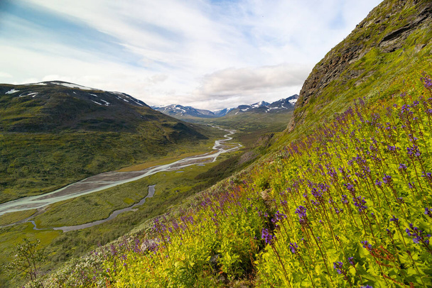 Een prachtig Rapa rivierlandschap van bovenaf met inheemse bloemen die op de heuvel bloeien. Zomer landschap van Sarek Nationaal Park, Zweden. Bergrivier in Noord-Europa. - Foto, afbeelding