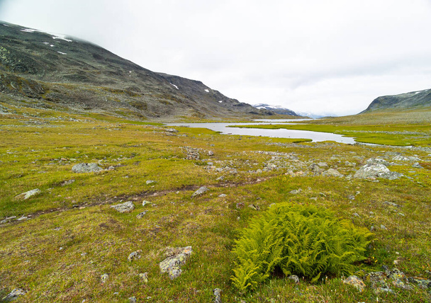A beautiful summer landscape of mountain river in Sarek National Park, Sweden. Nordic wilderness scenery. - Photo, Image
