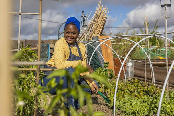 Egy ragyogó fiatal nő gondozza a kerti tervét, körülvéve friss zöldséggel.. - Fotó, kép