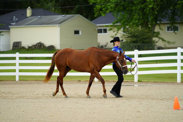 Fond du Lac, Wisconsin / USA - 17 lipca 2019: Młoda dziewczyna z koniem na pokazie koni na publicznym ranczu w Fond du Lac, Wisconsin - Zdjęcie, obraz