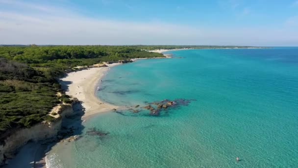 Vista aérea de Baia dei Turchi, región de Puglia, Italia. Bahía Turca (o Baia dei Turchi), esta costa de Apulia es uno de los ecosistemas más importantes de Salento, Italia. Costa de Baia dei Turchi. - Metraje, vídeo