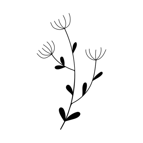 цветочные каракули, одиночный силуэт растений, выделенный на белом фоне - Вектор,изображение