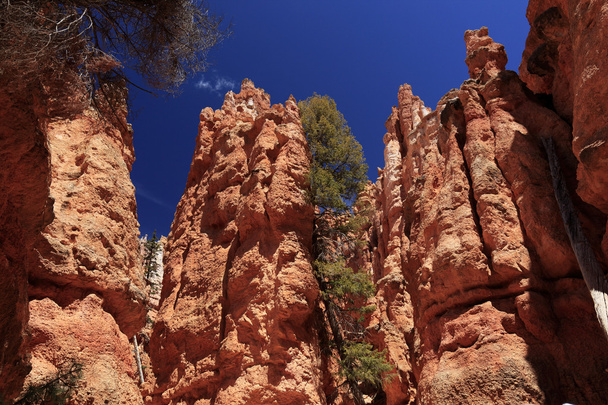 Prachtige rotsformaties op Bryce Canyon - Foto, afbeelding