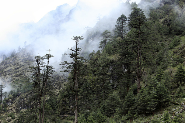 pokrywa chmur i mgieł w górach - Zdjęcie, obraz