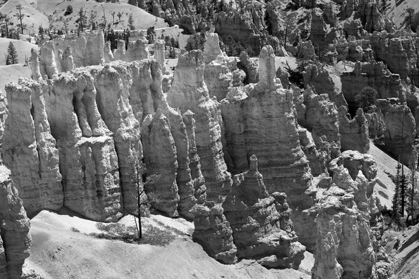 Gyönyörű sziklaalakzatok Bryce Canyon - Fotó, kép