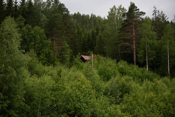 casa in legno con tetto rosso in una foresta con alberi verdi. - Foto, immagini