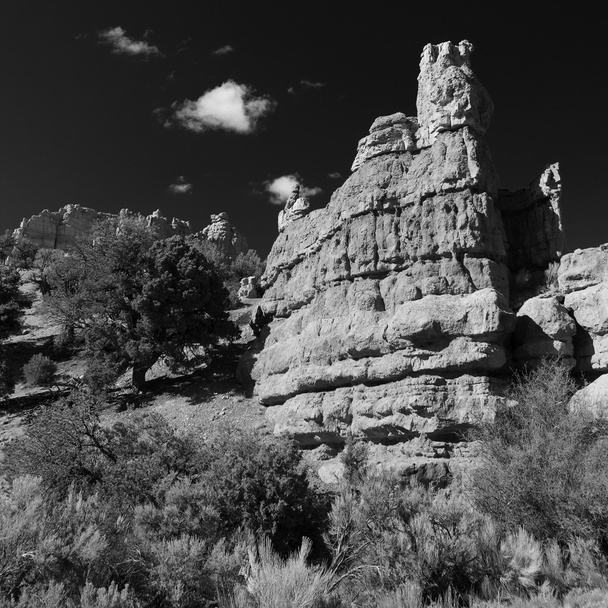 Prachtige rotsformaties op Bryce Canyon - Foto, afbeelding