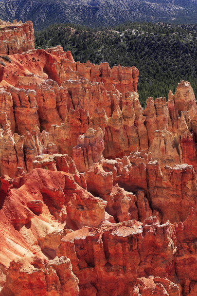 Nádherné skalní útvary na Bryce Canyon - Fotografie, Obrázek