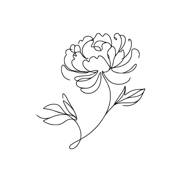 pioen bloem doodle illustratie - Vector, afbeelding