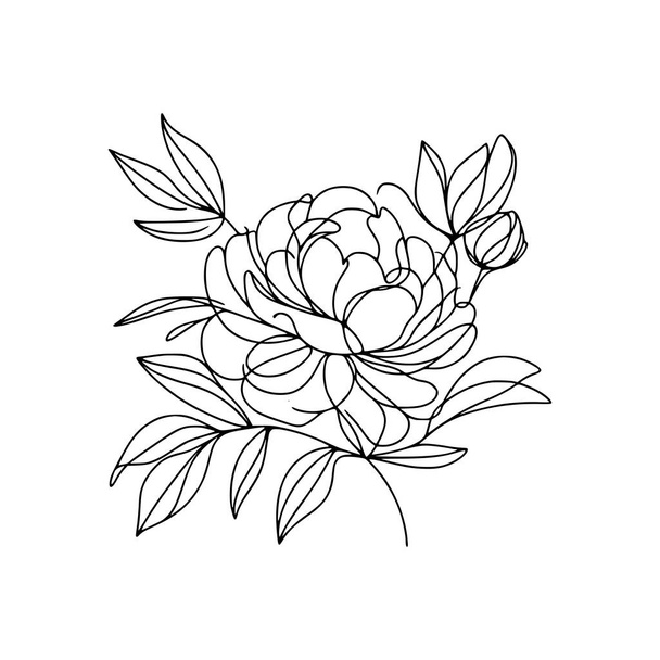 pivoine fleur gribouillage illustration - Vecteur, image