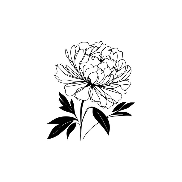 peônia flor doodle ilustração - Vetor, Imagem