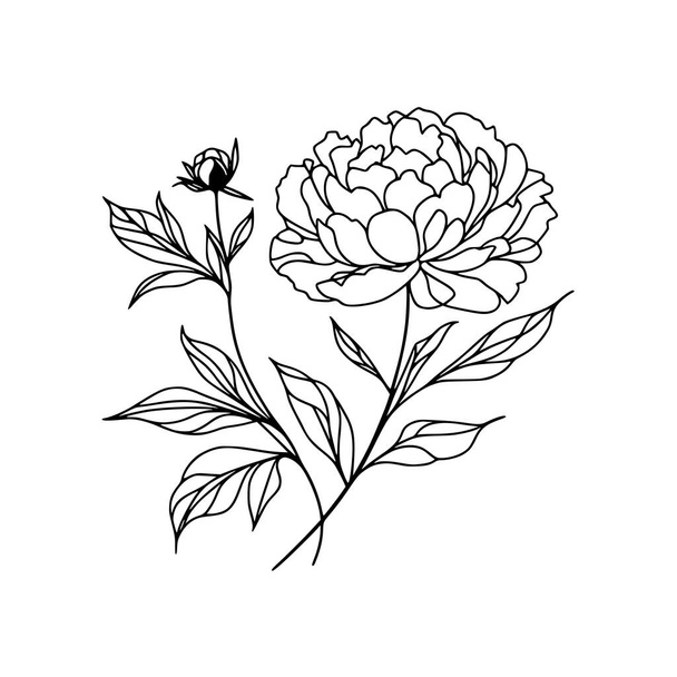 піонова квітка каракулі ілюстрація - Вектор, зображення