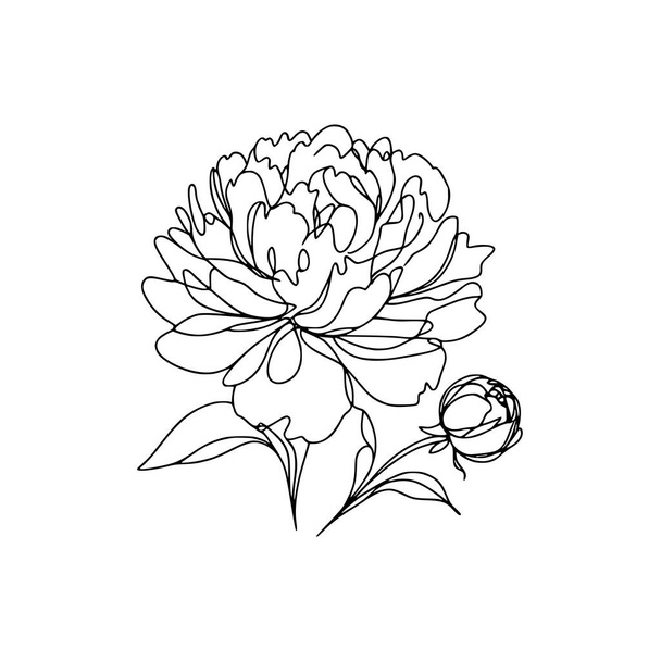 παιωνία γραμμή τέχνη λεπτή γραμμή παιωνία λουλούδι χέρι σχέδιο εικονογράφηση - Διάνυσμα, εικόνα