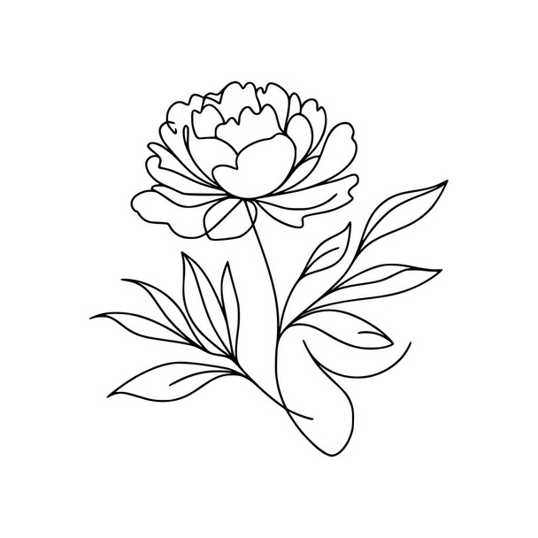 pivoňka linie umění jemné linie pivoňka květinové ručně kreslení ilustrace - Vektor, obrázek