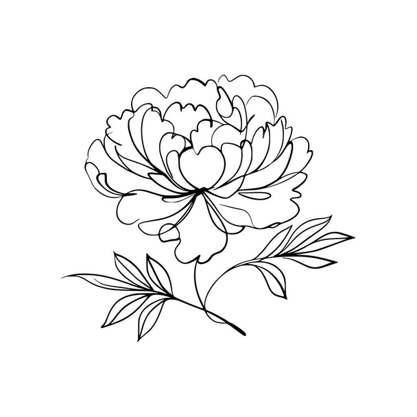 pivoňka linie umění jemné linie pivoňka květinové ručně kreslení ilustrace - Vektor, obrázek