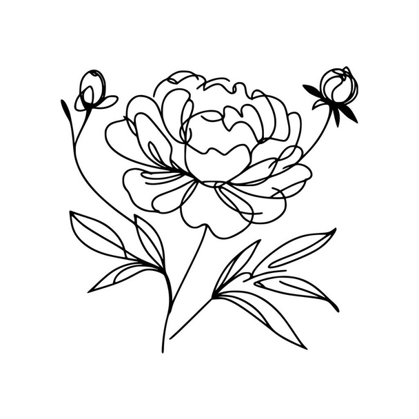 virág vonal rajz bazsarózsa - Vektor, kép