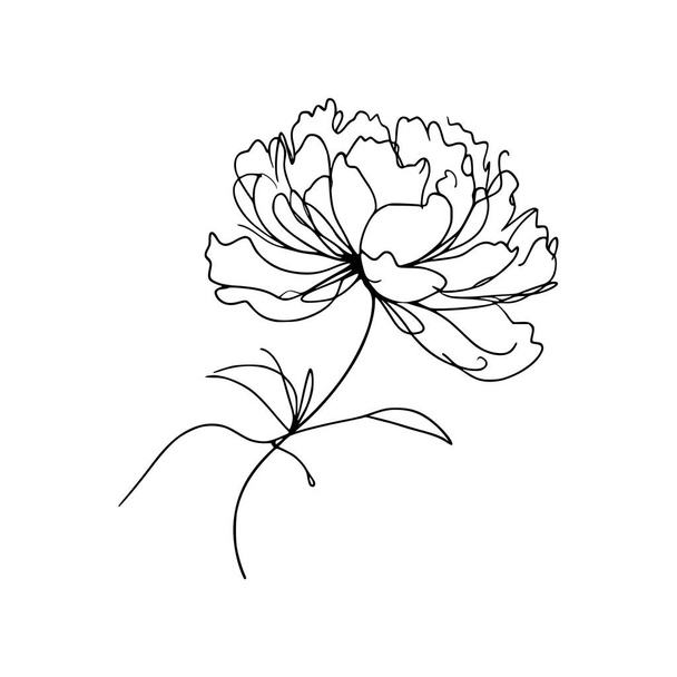 linea di fiore disegno peonia - Vettoriali, immagini