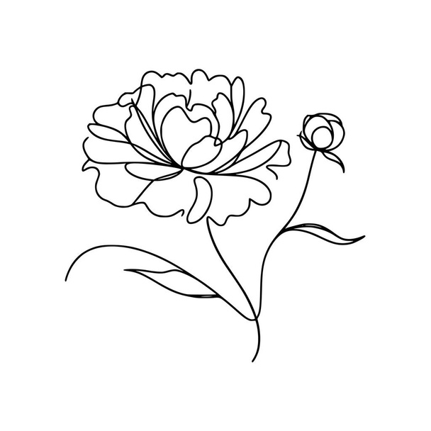 bloemlijn tekening pioen - Vector, afbeelding