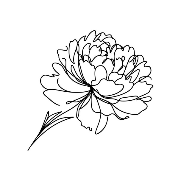 Illustration de la ligne pivoine. Arrangement de fleur de pivoine - Vecteur, image