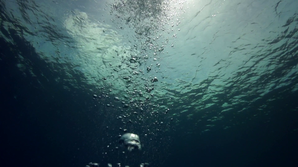 Vzduchové bubliny pod vodou, pomalý pohyb - Záběry, video