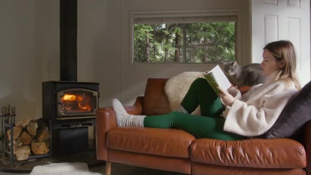 Uvolněná žena sedící s šedou kočkou na pohodlném koženém kočáře. Ženské čtení zajímavé knihy, ohřívání u kamen na dříví v útulné lesní chatě. Lidé na víkendové dovolené ve vzdálené destinaci - Záběry, video