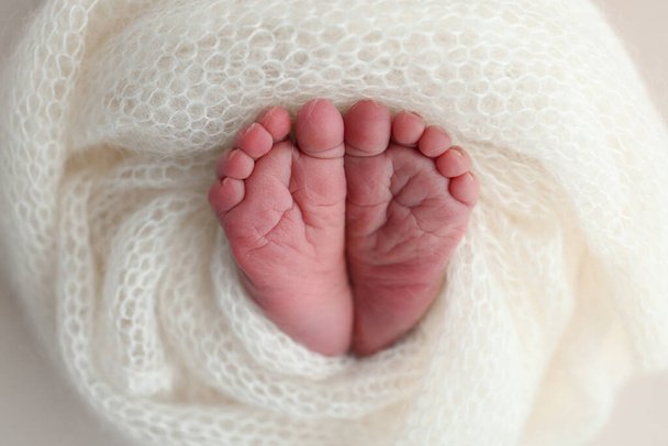 The tiny foot of a newborn baby. Soft feet of a new born in a wool white blanket. Close up of toes, heels and feet of a newborn. Macro photography.  - Photo, Image
