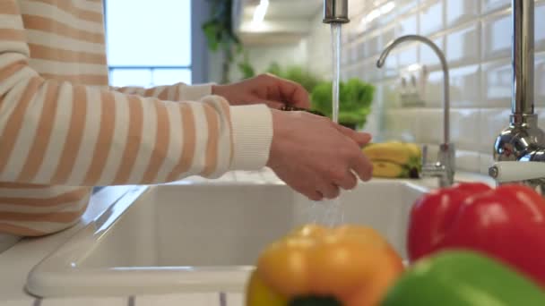 水道水の下でチェリートマトを洗う手. リンゴ セロリ ペッパーがテーブルの上に横たわる。 サラダ調理に使用されるビタミンでいっぱいの健康的な有機性のおいしい新鮮な野菜. デトックス,ダイエット,エネルギーのための食品 - 映像、動画