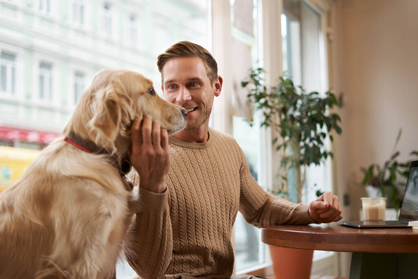 Genç yakışıklı bir adamın hayat tarzı fotoğrafı, bir kafede çalışan bir girişimcinin köpeği yanında otururken. Bir adam kafede bilgisayar kullanırken Golden Retriever 'ını okşuyor.. - Fotoğraf, Görsel