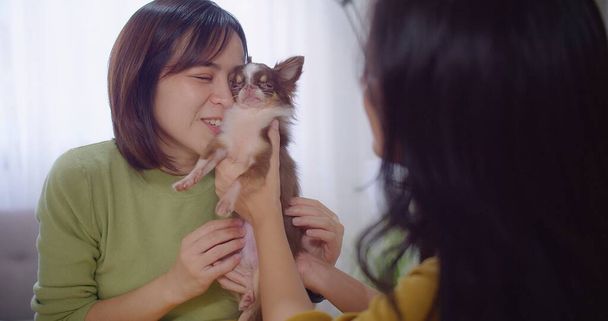 Deux femmes asiatiques partagent un moment joyeux avec un petit chiot chihuahua le tenant affectueusement alors qu'elles sourient dans un salon intérieur confortable - Photo, image