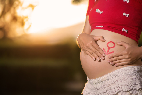 Зображення вагітної жінки, яка торкається її живота руками
 - Фото, зображення