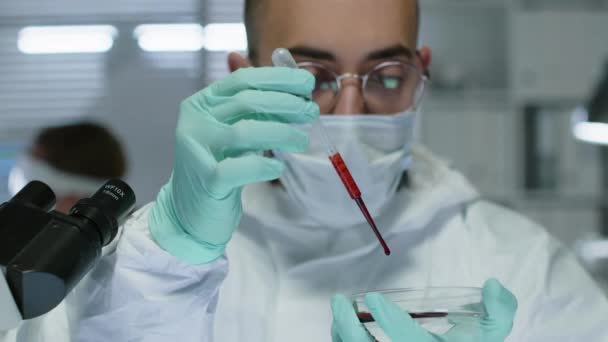 Chest up of young Middle Eastern male scientist wearing glasses, disposable gloves and face mask dripping red liquid on petri dish with pipette while conducting examination research in lab - Footage, Video