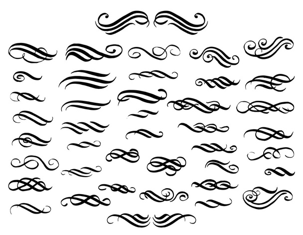 Calligrafische vormgevingselementen - Vector, afbeelding