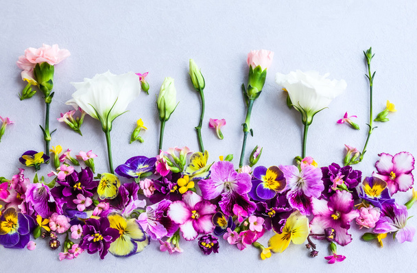 Fresh multicolored flowers - Valokuva, kuva