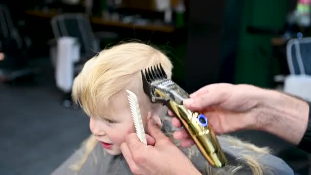 Peluquero usando peine y afeitadora para cortar el cabello. Peluquería profesional afeitando nuca niños pequeños. De cerca.. - Metraje, vídeo