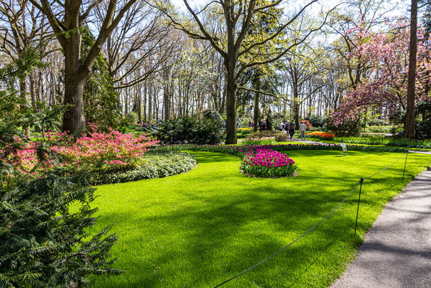 14. dubna 2022 Lisse Holandsko. Keukenhof jarní zahrada v Lisse je jednou z největších atrakcí Nizozemska. - Fotografie, Obrázek