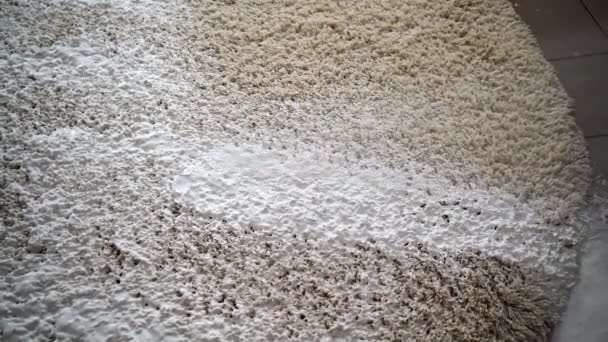 Profesionální čištění koberců. Nanášení chemické pěny na špinavý koberec. Koncept čištění koberců - Záběry, video