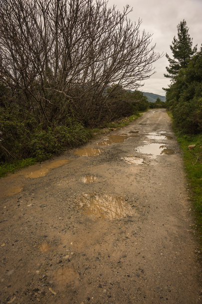 Frühjahrsstraßen nach starkem Regen bei Ausweichmanöver - Foto, Bild
